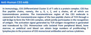Anti-Human CD3 monoclonal antibody (Anti-Human CD3 mAb)